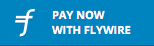 Pay now with Flywire - action button