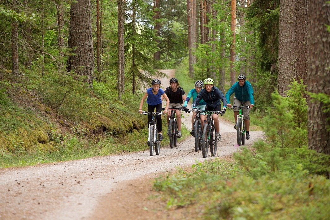 5 cyklister på mountainbike i en granskog