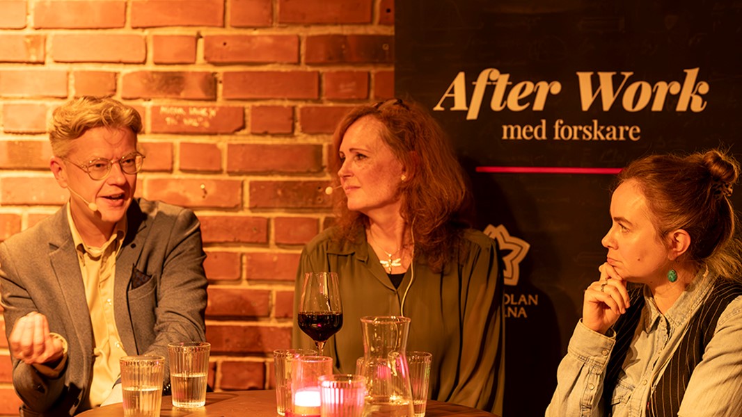 Grupp människor sitter inomhus pratar