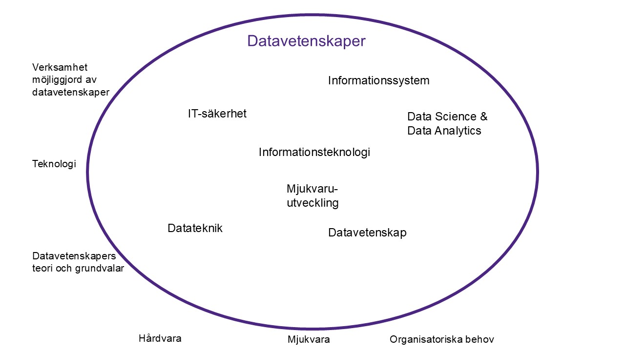 Datavetenskaper bild_jpg.jpg