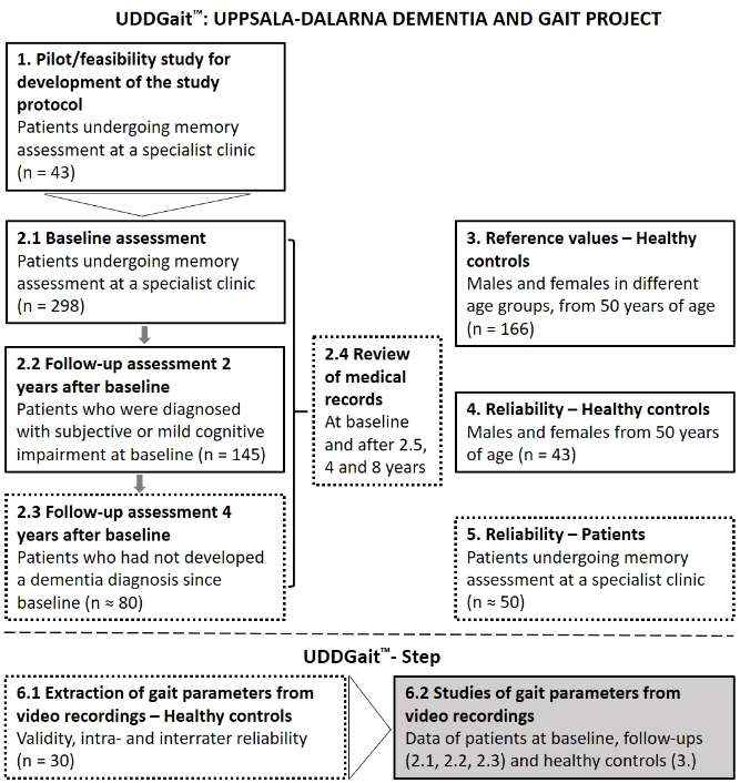 A flowchart of the UDDGait™: Uppsala-Dalarna Dementia and Gait Project. The chart outlines the different phases and target groups involved in the research project. The first phase is a pilot/feasibility study (n = 43) aimed at developing the study protocol, involving patients undergoing memory assessment at a specialist clinic. The next step is a baseline assessment (n = 298) followed by a two-year follow-up assessment (n = 145) for patients diagnosed with subjective or mild cognitive impairment at baseline. A further follow-up after four years (n ≈ 80) is conducted for patients who had not developed a dementia diagnosis since baseline. A review of medical records (2.4) is conducted at baseline and after 2.5, 4, and 8 years. On the right side, there are blocks for reference values (n = 166) for healthy controls, and reliability studies for healthy controls (n = 43) and patients (n ≈ 50). Finally, UDDGait™-Step is mentioned, including the extraction of gait parameters from video recordings for healthy controls (n = 30) and studies of gait parameters from video recordings for patients and healthy controls.