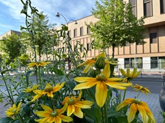 Högskolan Dalarnas campus i Borlänge