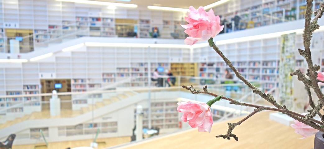 magnolia in the library