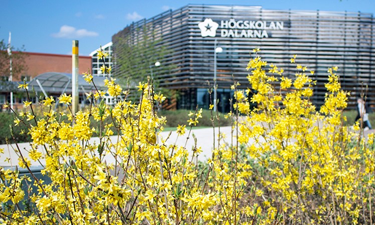 An exterior picture of Dalarna University, Campus Falun.