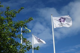 Högskolan Dalarnas logotyp på flagga med blå himmel i bakgrunden. 