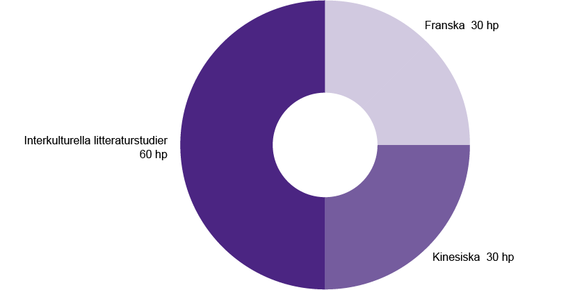 Diagram som visar exempel på masterexamen, 120 hp