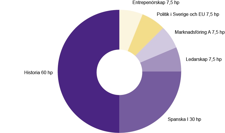Diagram som visar exempel på högskoleexamen på 120 hp