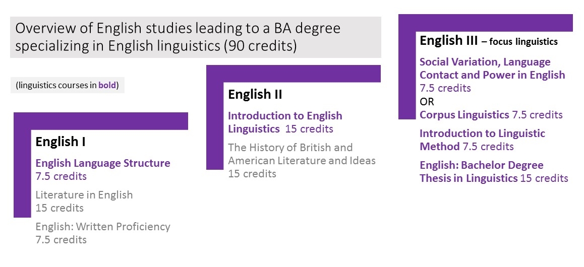 Overview of English studies leading to a BA degree specializing in English linguistics. 