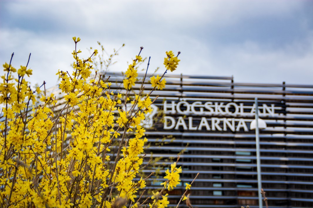 Exteriör byggnad Campus Falun