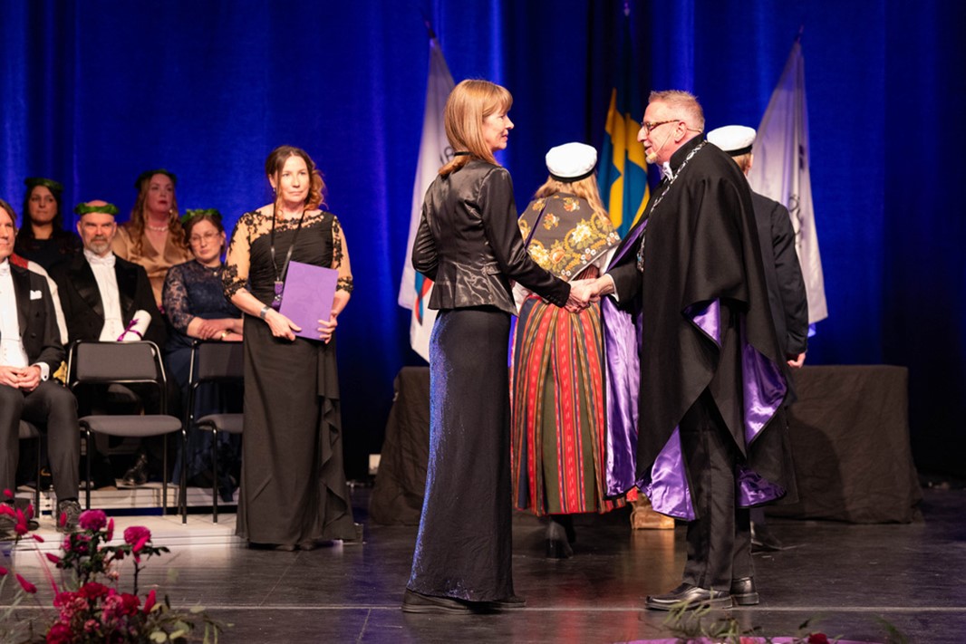 Akademisk högtid, professorsinstallation