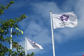 Högskolan Dalarnas flagga. 
